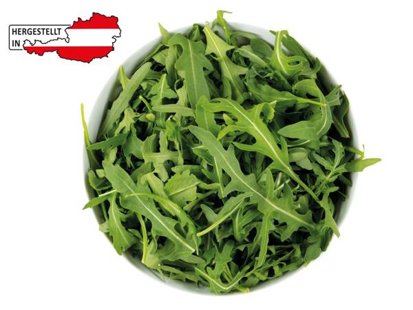 Rucola