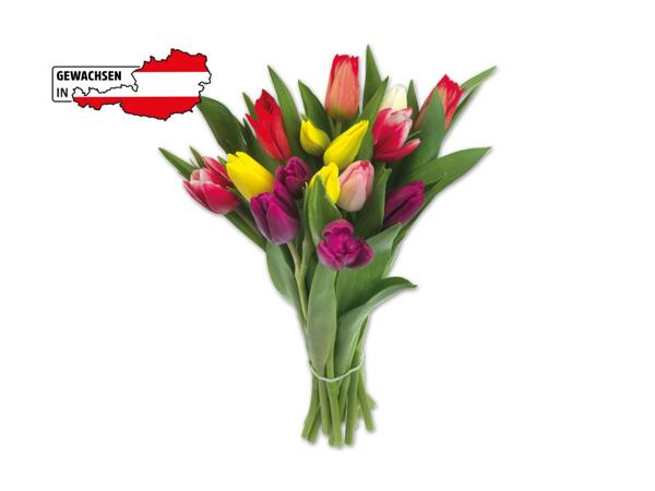 Tulpenstrauß Kunterbunt