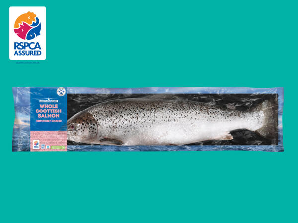 Lighthouse Bay Whole Scottish Salmon