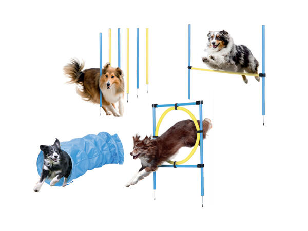 Dog Agility Set