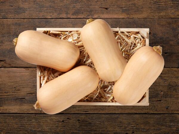 Kürbis Butternuss