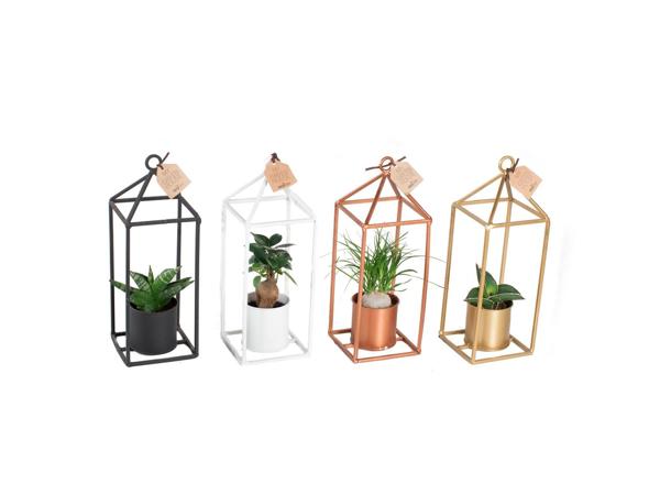 Easy Care Greenhouse