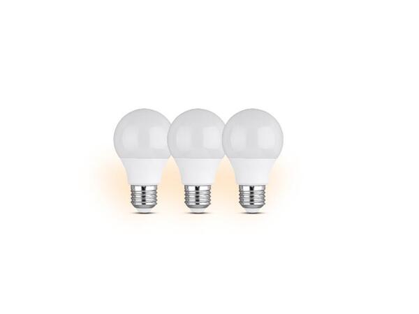LIVARNO home LED žárovka, 2 kusy / 3 kusy
