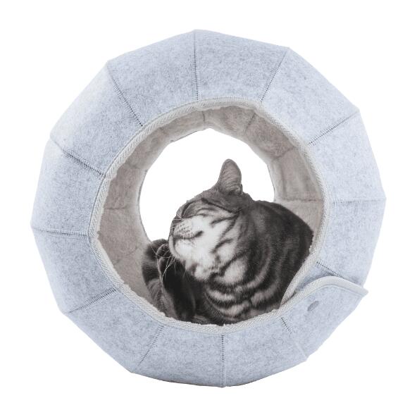 Kattehule