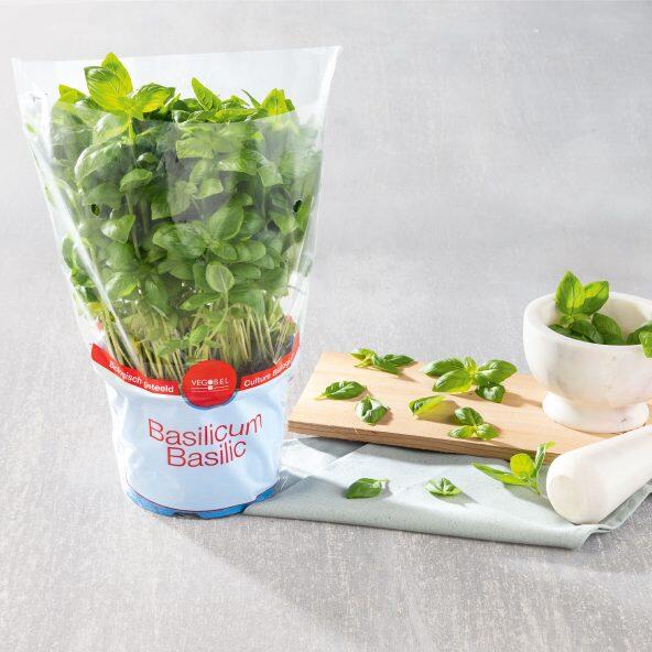 Biobasilicum XXL