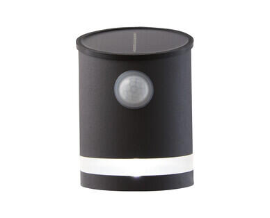 Solar Step or Wall Light