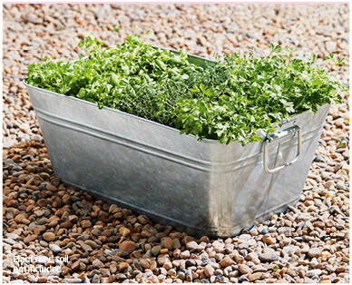 Mini Garden Tub