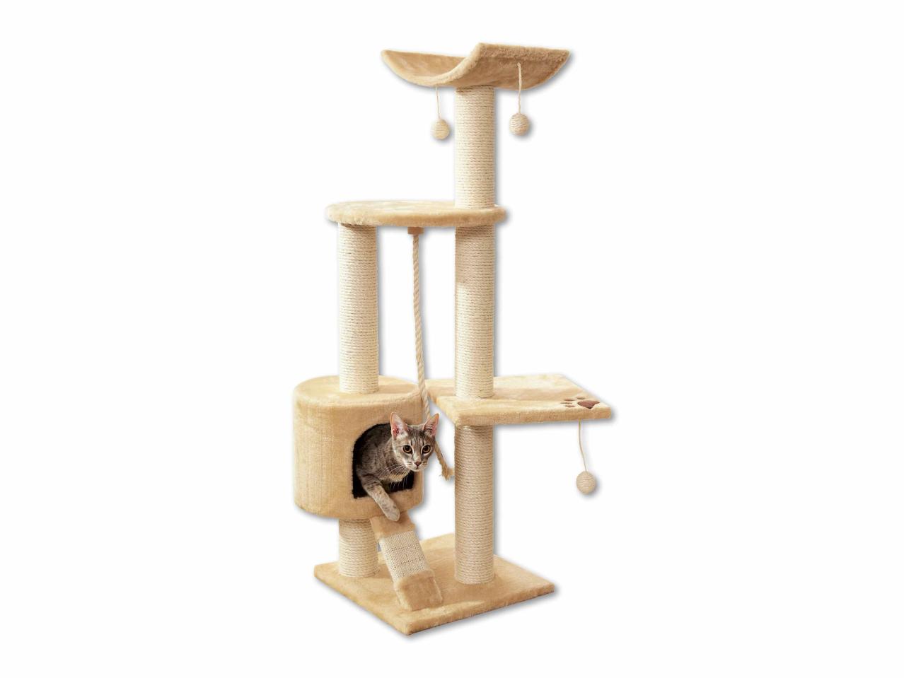 Arbre à chat