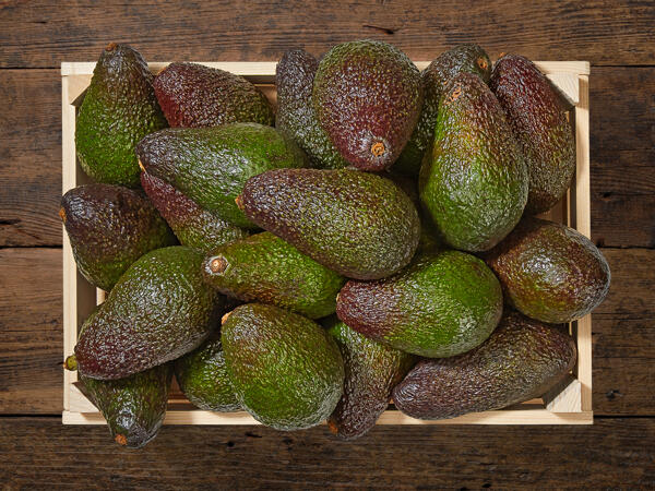 Avocat