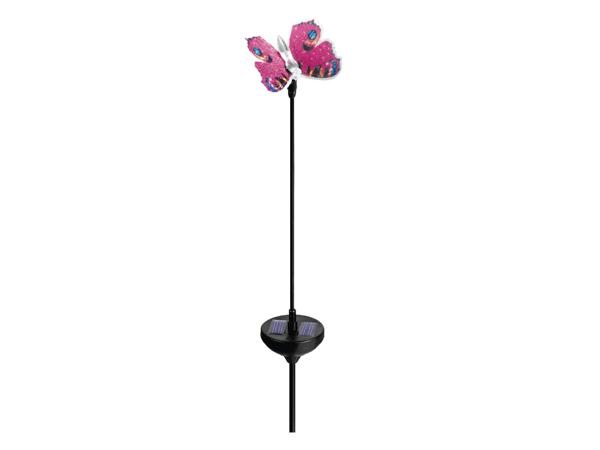 Decorative Solar-Powered Light