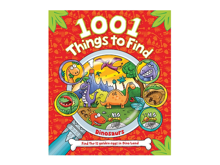 1001 Things to Find Book