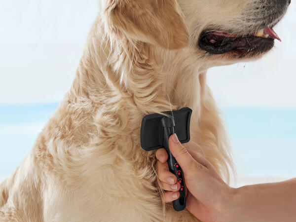 Pet Grooming Set
