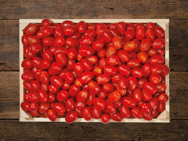 Tomates dattes bio