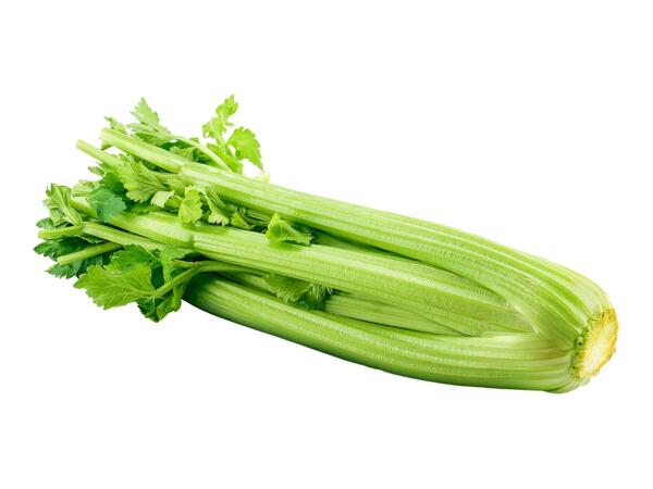 Celery