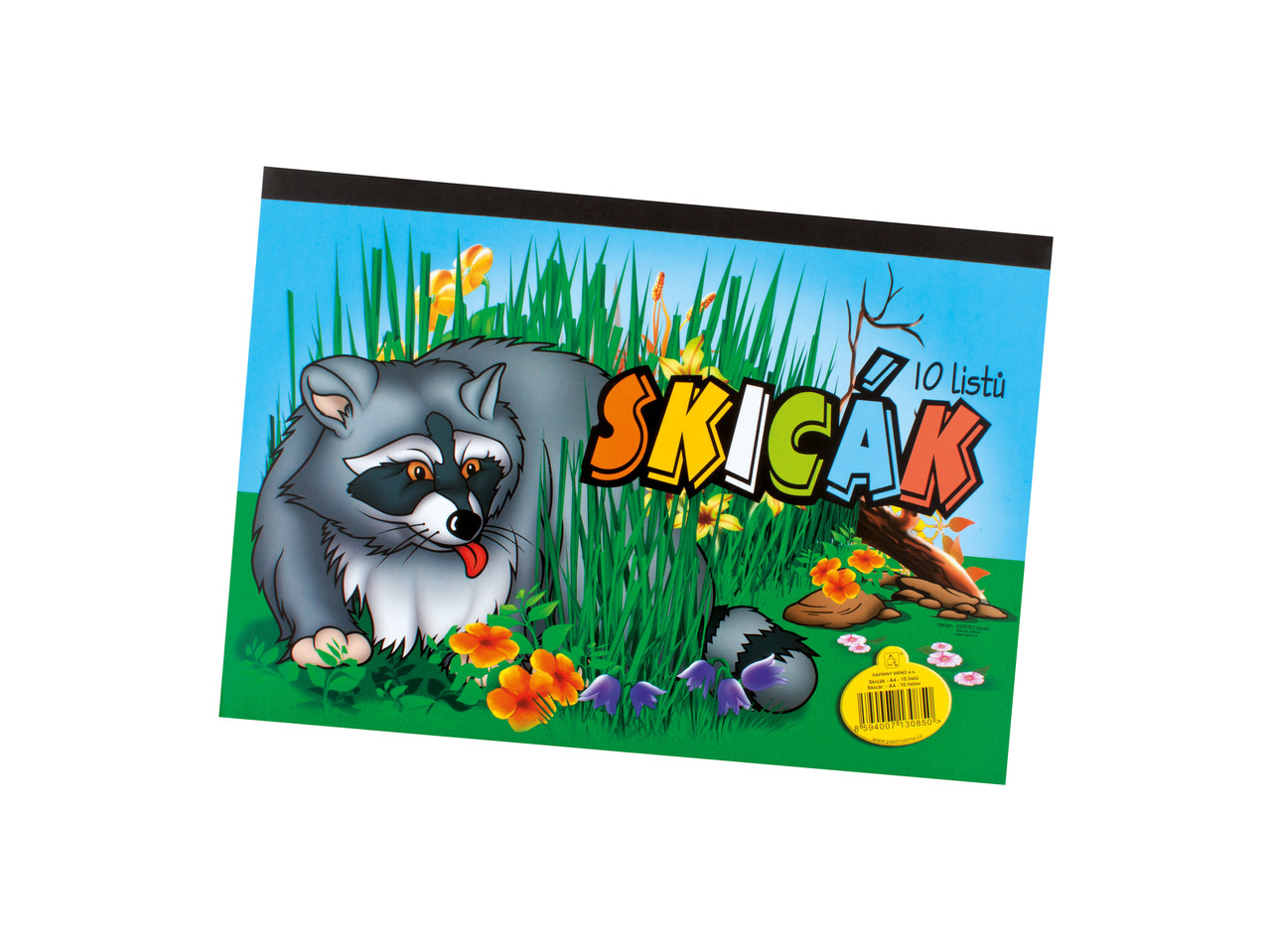 Skicák