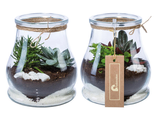 Mini Garten im Glas