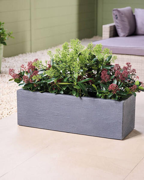 Plant Pot Column