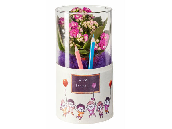Kalanchoé dans un vase en verre