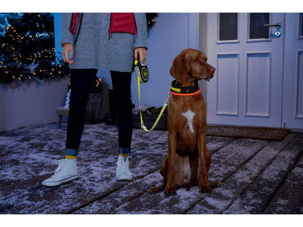 Zoofari LED-rullkoppel, 5 m