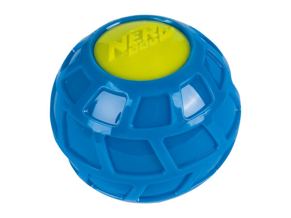 Nerf Dog Toy