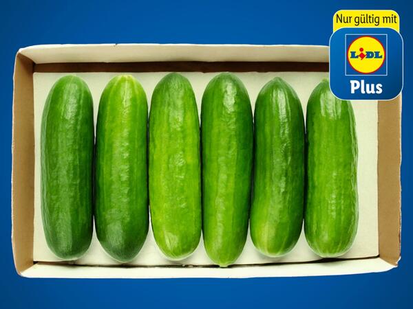 Snack Gurken aus Österreich