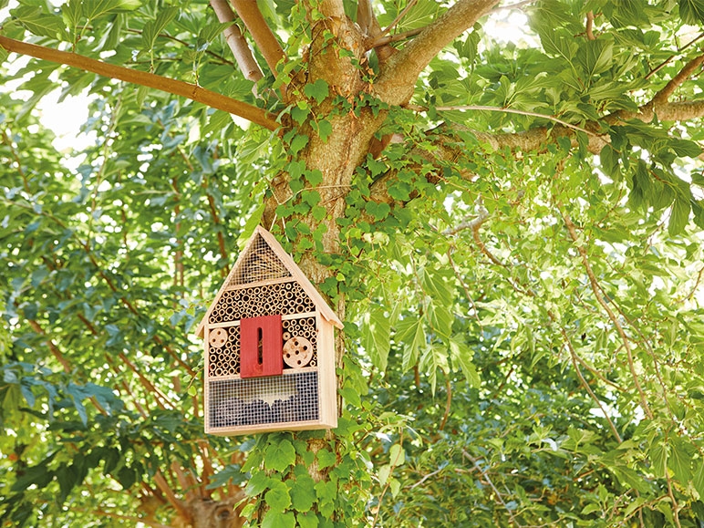 FLORABEST Bug Box