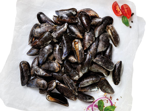 FISCHERSTOLZ Frische Miesmuscheln