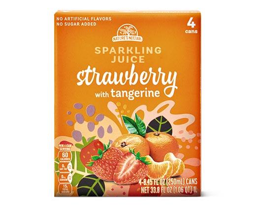 Nature's Nectar
Sparkling Strawberry 4-Pack Assorted Varieties