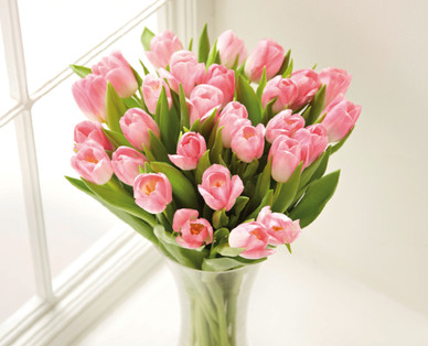 Tulips^