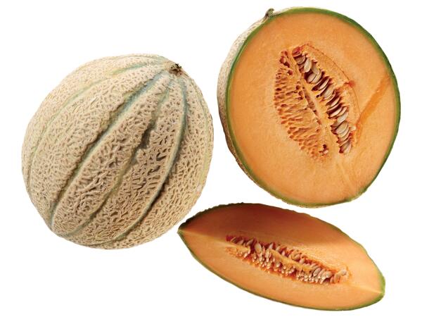 Netted Melon