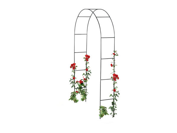 Livarno Home Rose Arch / Garden Obelisk