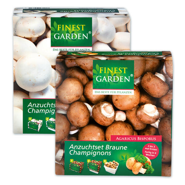 Champignon Anzuchtset
