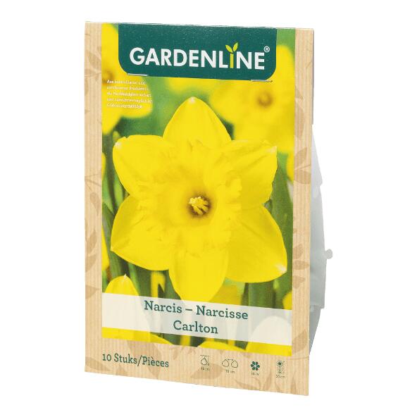 GARDENLINE(R) 				Bulbes à fleurs
