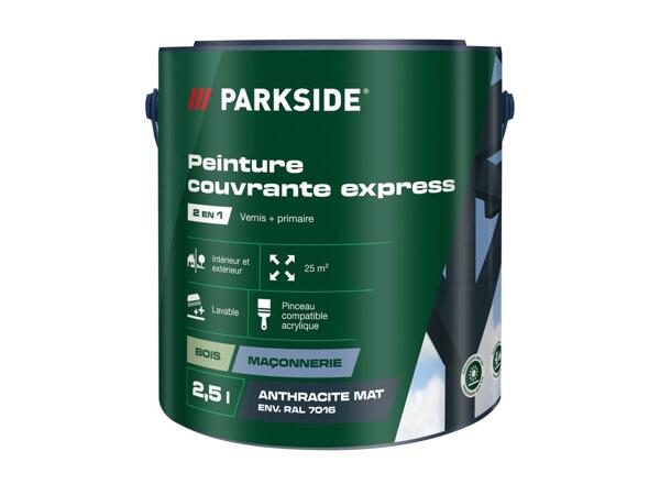 Express covering paint