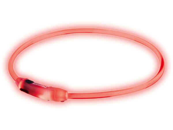 LED Dog Band / LED Dog Collar
