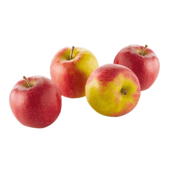 Pommes bio