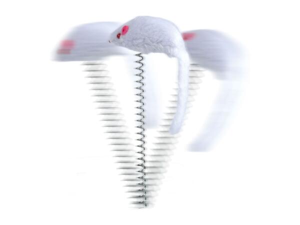 Zoofari Interactive Pet Toy