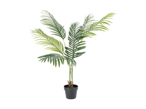 LIVARNO(R) Kunstig plante