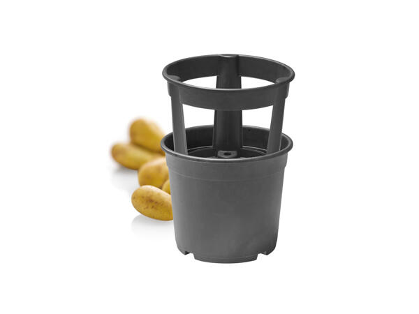Ventura potatiskruka