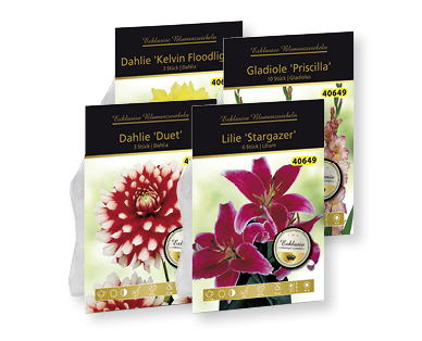 Bulbes de fleurs exclusifs
