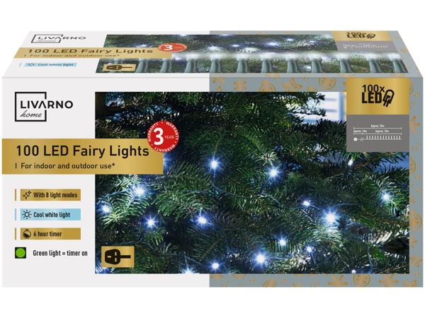 100 LED Fairy Lights