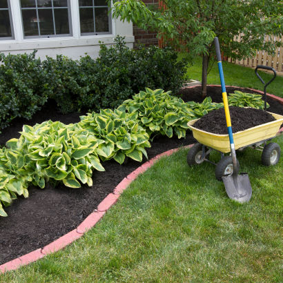 Hosta planter