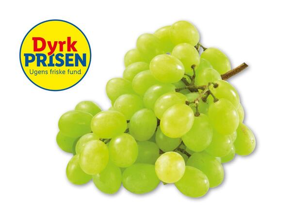 Grønne kernefri vindruer