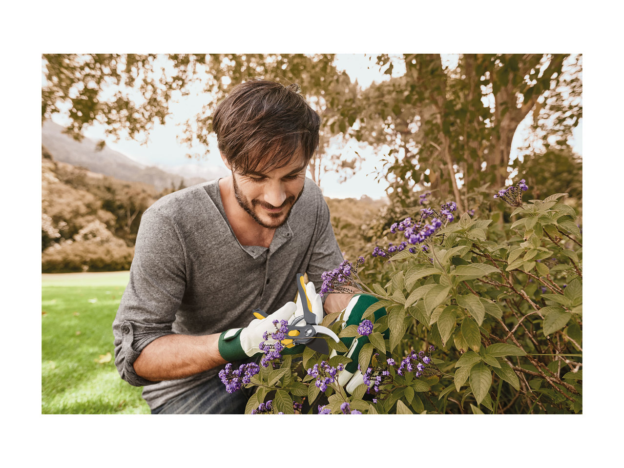 Florabest Anvil or Bypass Secateurs1