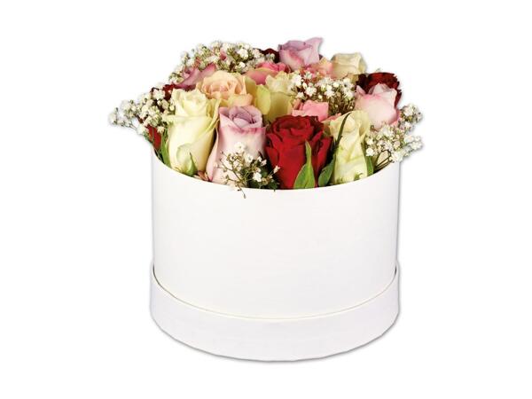 Rosenbox
