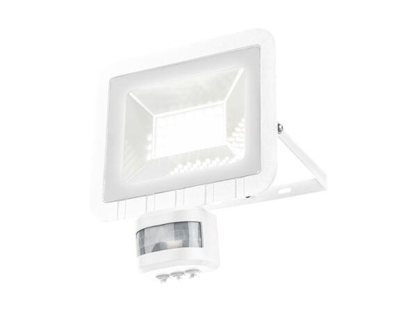 LIVARNO HOME(R) LED-projektør