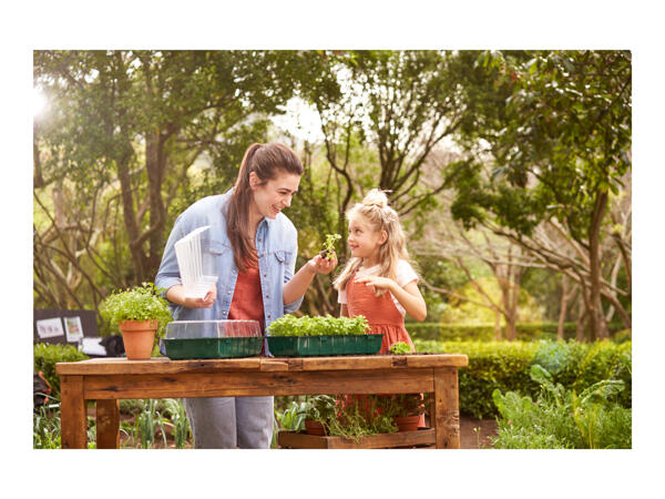 Parkside Propagator Set - 4 pack
