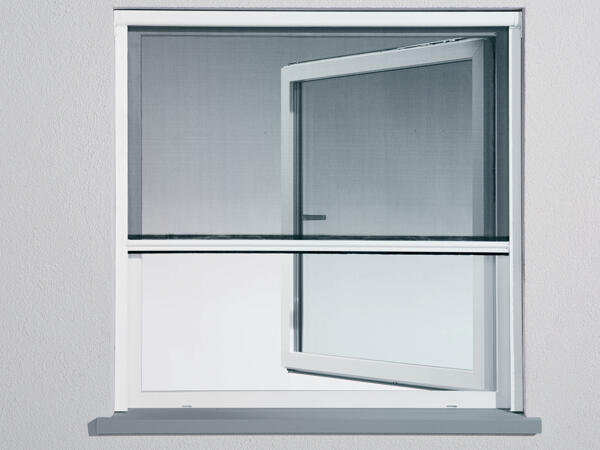 Insect Roller Blind