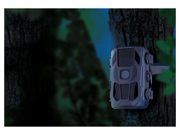 Wildlife Surveillance Camera