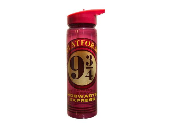 Zak 600ml Character Water Bottle